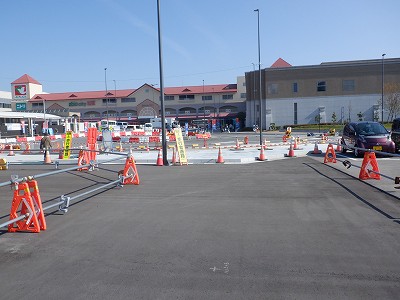 ���ꉷ��w�摜