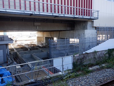 ���ꉷ��w�摜