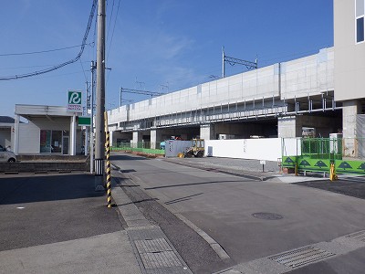 ���ꉷ��w�摜