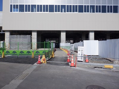 ���ꉷ��w�摜