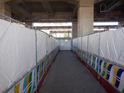 ���ꉷ��w�摜