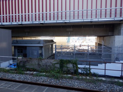 ���ꉷ��w�摜