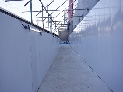 ���ꉷ��w�摜