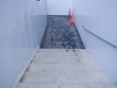 ���ꉷ��w�摜