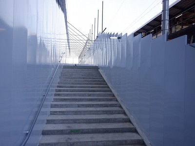 ���ꉷ��w�摜