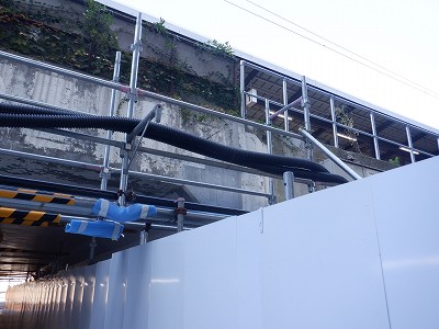 ���ꉷ��w�摜