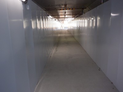 ���ꉷ��w�摜