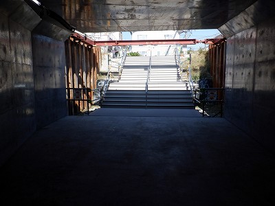 ���ꉷ��w�摜