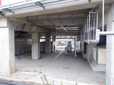 ���ꉷ��w�摜