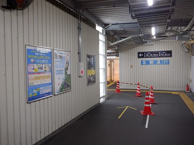 ���ꉷ��w�摜