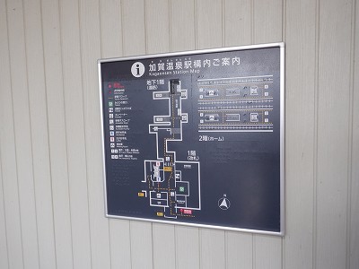 ���ꉷ��w�摜