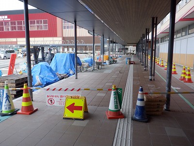 ���ꉷ��w�摜