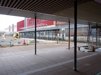 ���ꉷ��w�摜