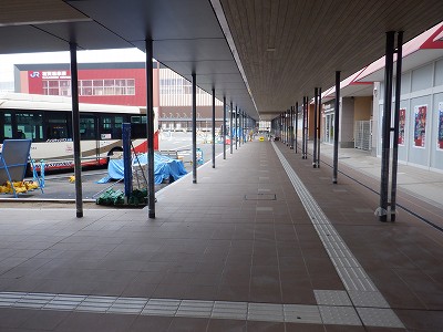 ���ꉷ��w�摜