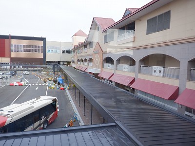 ���ꉷ��w�摜