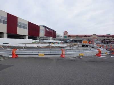 ���ꉷ��w�摜