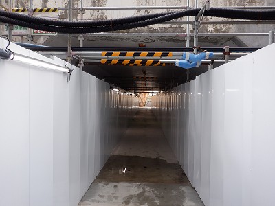 ���ꉷ��w�摜