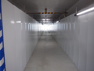 ���ꉷ��w�摜