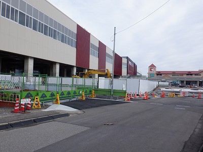 ���ꉷ��w�摜