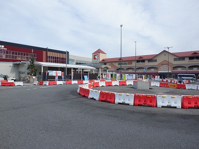 ���ꉷ��w�摜