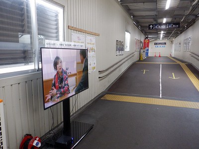 ���ꉷ��w�摜