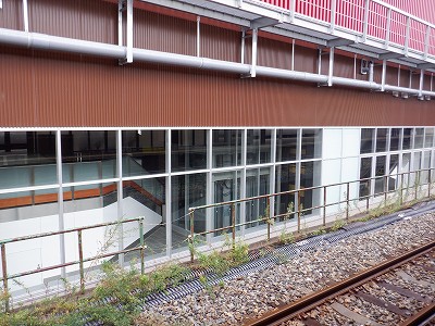 ���ꉷ��w�摜