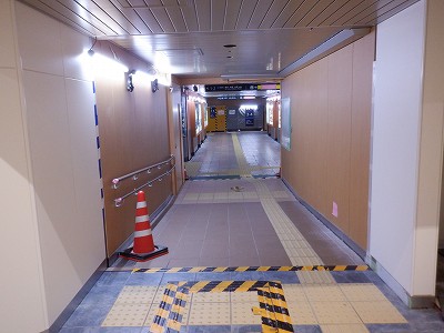 ���ꉷ��w�摜