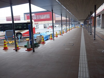 ���ꉷ��w�摜