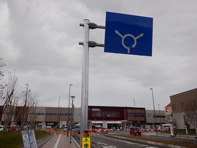 ���ꉷ��w�摜