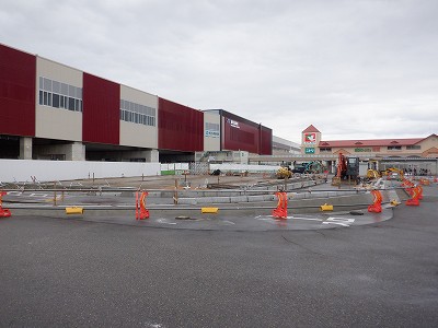 ���ꉷ��w�摜