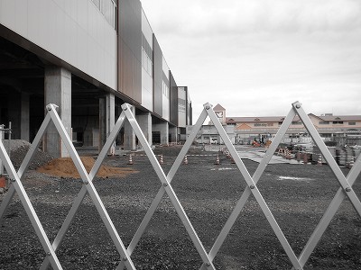 ���ꉷ��w�摜