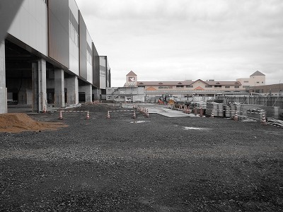 ���ꉷ��w�摜