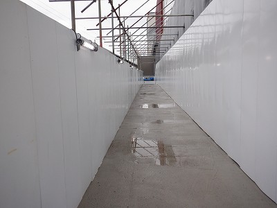 ���ꉷ��w�摜