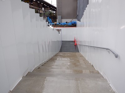 ���ꉷ��w�摜