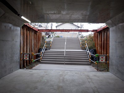 ���ꉷ��w�摜