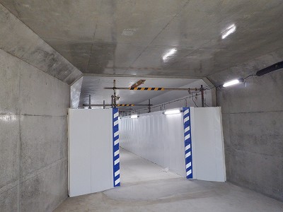 ���ꉷ��w�摜