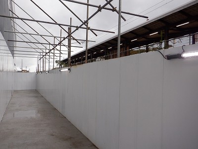 ���ꉷ��w�摜