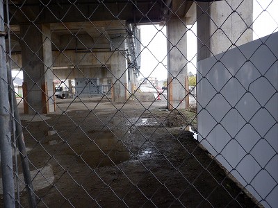 ���ꉷ��w�摜