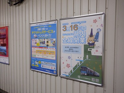 ���ꉷ��w�摜