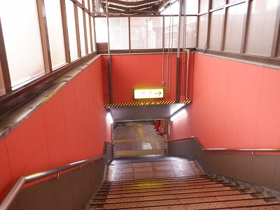 ���ꉷ��w�摜