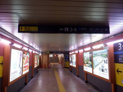 ���ꉷ��w�摜