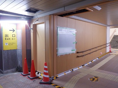 ���ꉷ��w�摜