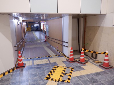 ���ꉷ��w�摜