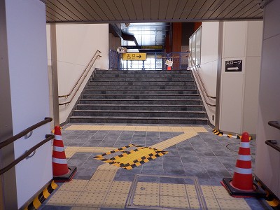 ���ꉷ��w�摜