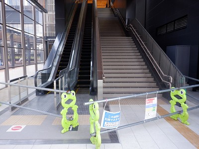 ��������w�摜