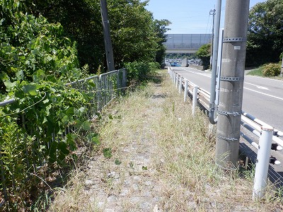 ��������w�摜