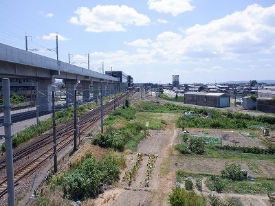 ��������w�摜