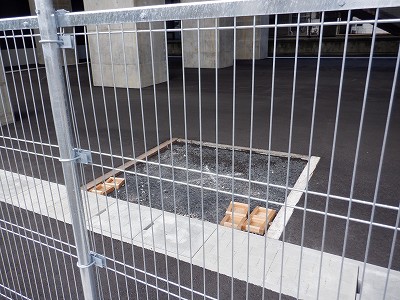 ��������w�摜