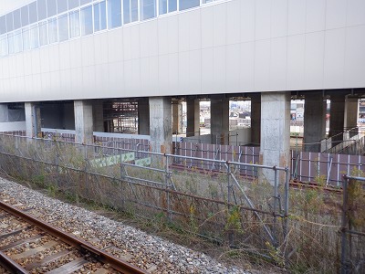 ���ꉷ��w�摜