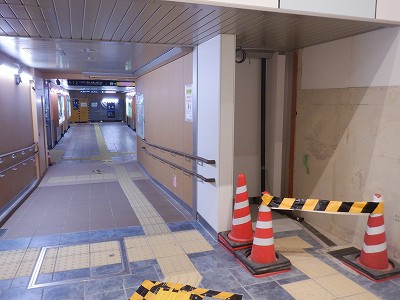 ���ꉷ��w�摜